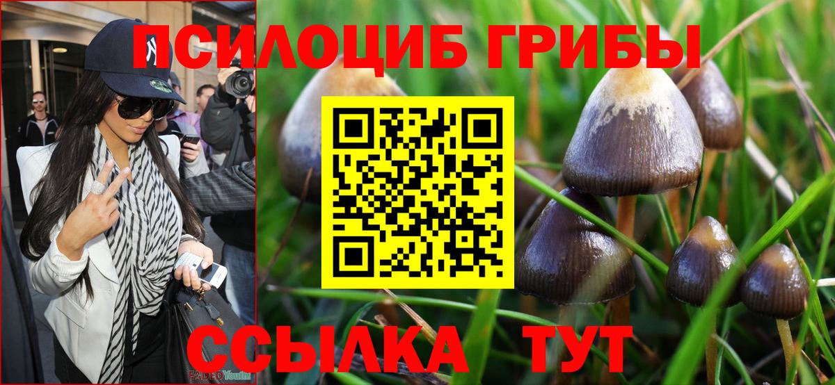 Псилоцибиновые грибы GOLDEN TEACHER Ликино-Дулёво