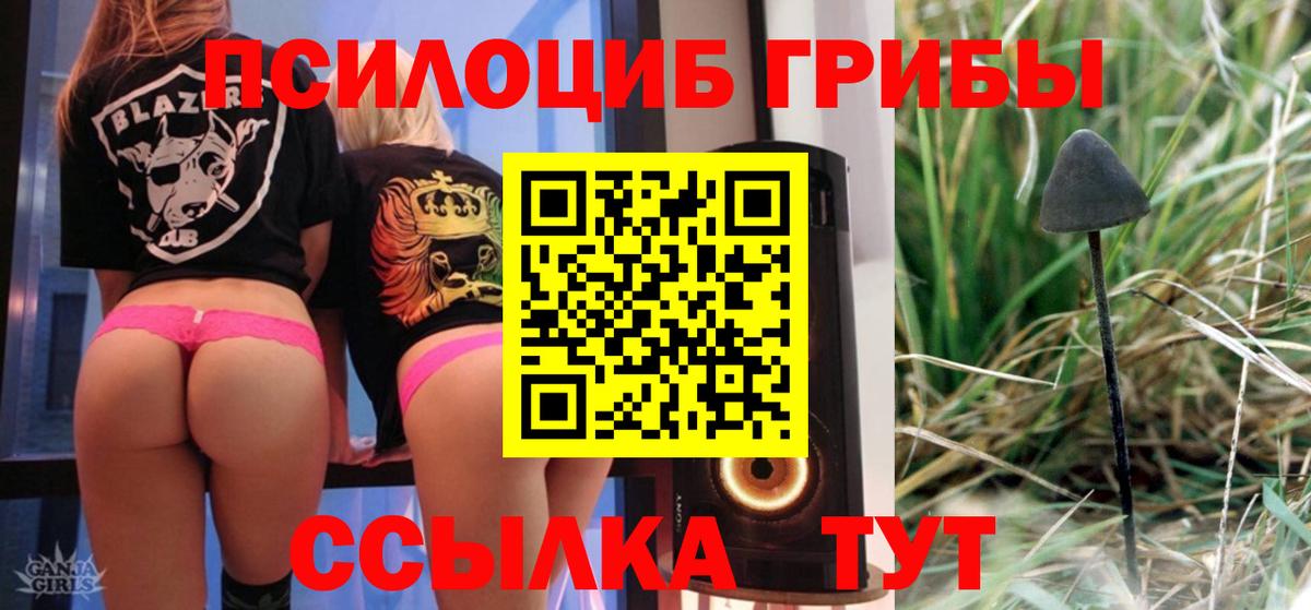 где можно купить   Галлюциногенные грибы GOLDEN TEACHER  Вход с VPN  Ликино-Дулёво 